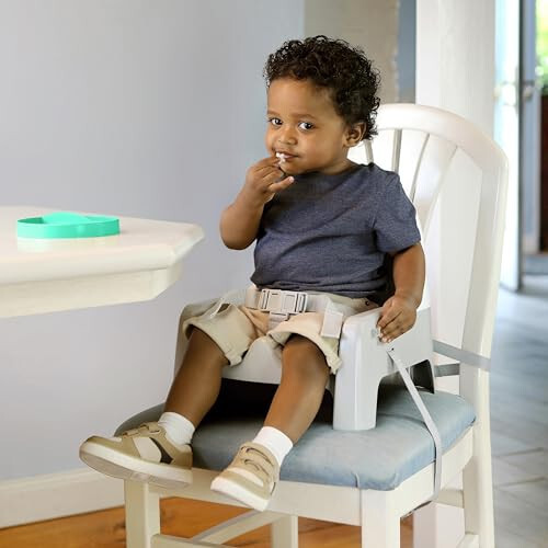 Summer Infant Deluxe Learn-to-Dine Feeding Seat – Infant and Toddler Feeding Chair and Booster Seat with Tray and 2 Snap-in Plates - 34