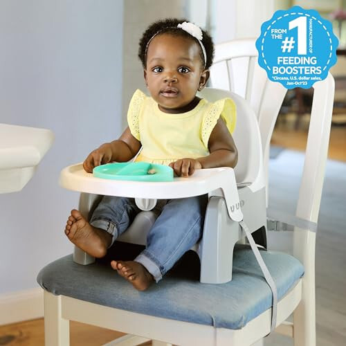 Summer Infant Deluxe Learn-to-Dine Feeding Seat – Infant and Toddler Feeding Chair and Booster Seat with Tray and 2 Snap-in Plates - 27