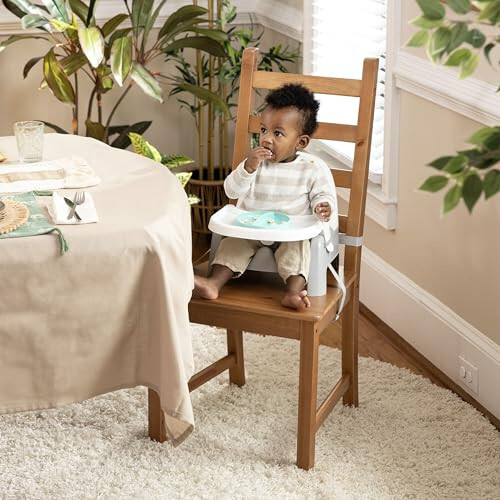 Summer Infant Deluxe Learn-to-Dine Feeding Seat – Infant and Toddler Feeding Chair and Booster Seat with Tray and 2 Snap-in Plates - 31