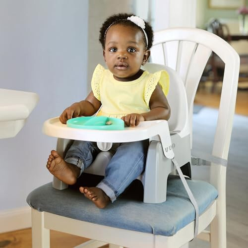 Summer Infant Deluxe Learn-to-Dine Feeding Seat – Infant and Toddler Feeding Chair and Booster Seat with Tray and 2 Snap-in Plates - 6