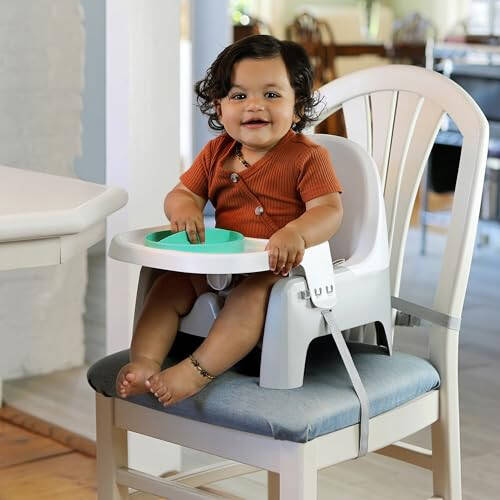 Summer Infant Deluxe Öğrenme Yemek Sandalyesi - Bebek ve Bebek Yemek Sandalyeleri ve Takviye Koltuğu Tepsi ve 2 Tıklamalı Tabaklı - 29