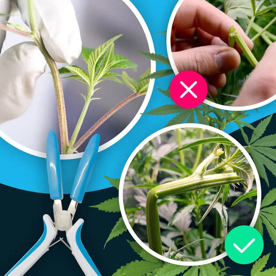 Super cropper, hydroponics cropper, grow room cropper, pliers (2 pack) cropper. - 4