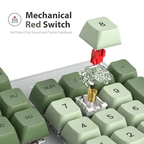 surmen Sage Green Mechanical Gaming Keyboard– 104 Key Full Size Wired Keyboard with Number Pad, Thocky & Creamy Sound, RGB Backlit Anti-Ghosting – Quiet Red Switch for PC Gamers & Typists (104 Green) - 2