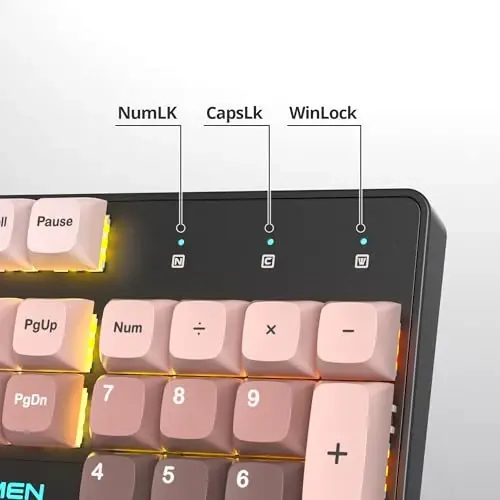 surmen Wired Mechanical Keyboard Full-Size,104-Key RGB Thocky Keyboard with Number Pad USB Retro Brown PBT Keycaps for Win Gaming/Office (104 Heimei) - 5