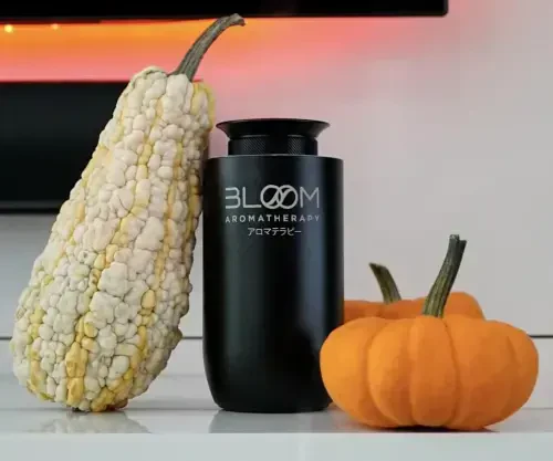 Susiz Avtomobil Difuzori Eterik Moylar Uchun - BloomMicro+ Onyx Avtomobil va Uy Difuzori - Susiz Difuzor Hidi Havoning Mashinasi - Qayta Zaryadlanadigan Avtomobil Havosi Tozalovchi Difuzor va Xushbo'ylar 300 kvadrat metrdan Ortiq - Kumush - 6