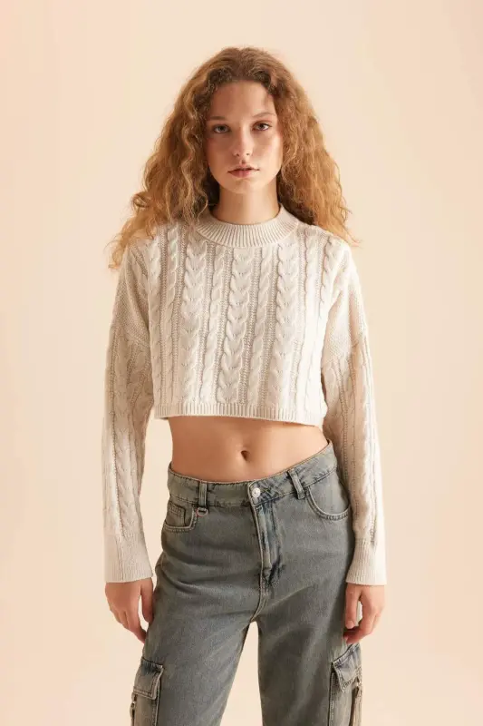 Свитер Coool Regular Fit с круглым вырезом - DEFACTO