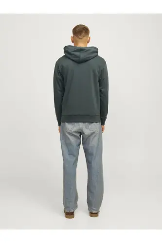 Sweatshirt - Gray - Forest River - 3