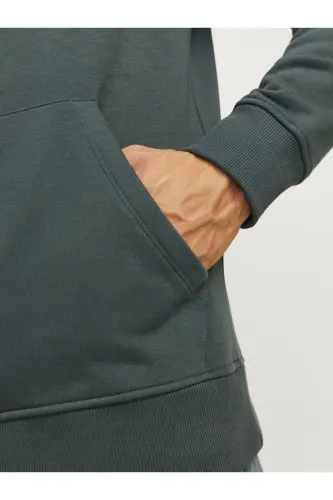Sweatshirt - Gray - Forest River - 5