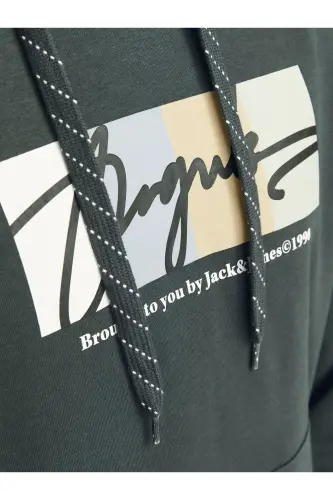 Sweatshirt - Gri - Orman Nehri - 6