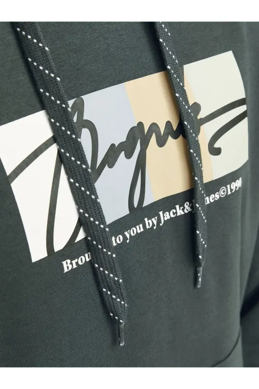 Sweatshirt - Gri - Orman Nehri - 6