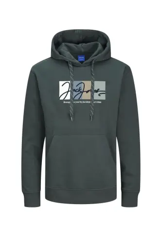 Sweatshirt - Kulrang - O'rmon daryosi - 2