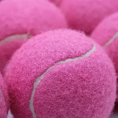 Swingers 20 Pack Tennis Balls,Training Exercise Balls for Pet Dog, High Elasticity Practice Tennis Balls for Beginner, with Mesh Carry Bag Easy to Transport - 3