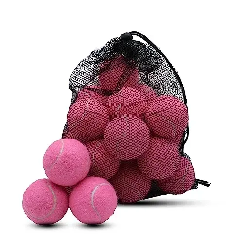 Swingers 20 Pack Tennis Balls,Training Exercise Balls for Pet Dog, High Elasticity Practice Tennis Balls for Beginner, with Mesh Carry Bag Easy to Transport 