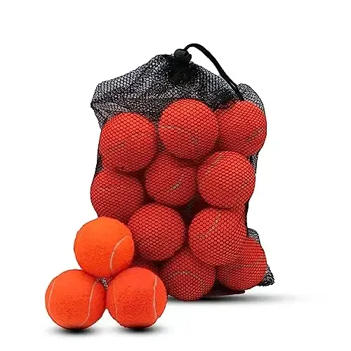 Swingers 20 Pack Tennis Balls,Training Exercise Balls for Pet Dog, High Elasticity Practice Tennis Balls for Beginner, with Mesh Carry Bag Easy to Transport - 1