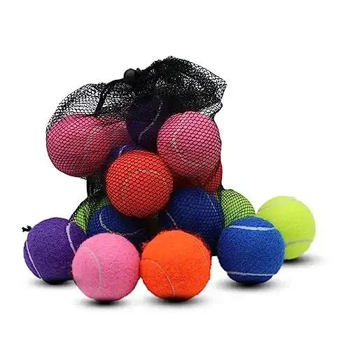 Swingers 20 Pack Tennis Balls, It Uy hayvonlari uchun mashq to'plari, Yangi boshlanuvchilar uchun yuqori elastiklik mashq tennis to'plari, tashish uchun qulay Mesh Carry Bag bilan - SWINGERS