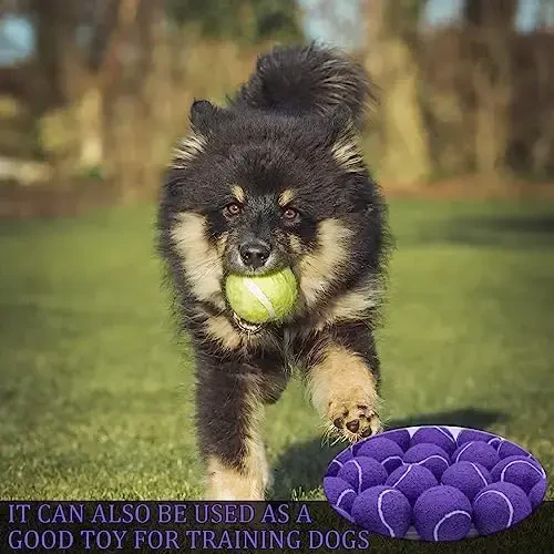 Swingers 20 Pack Tennis Balls, It uy hayvonlari uchun mashq to'plari, yangi boshlanuvchilar uchun yuqori elastiklikdagi tennis to'plari, tashish uchun qulay mesh sumka bilan - 6