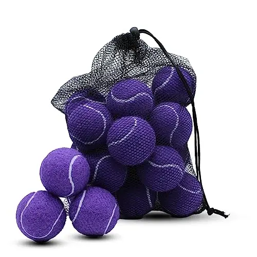 Swingers 20 Pack Tennis Balls, It uy hayvonlari uchun mashq to'plari, yangi boshlanuvchilar uchun yuqori elastiklikdagi tennis to'plari, tashish uchun qulay mesh sumka bilan - 1