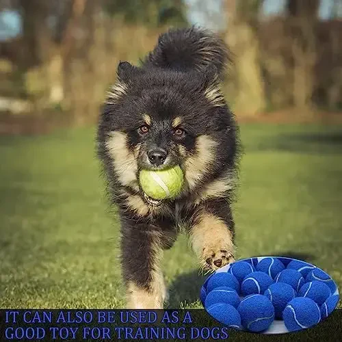 Swingers 20 Pack Tennis Balls, Training Exercise Balls for Pet Dog, High Elasticity Practice Tennis Balls for Beginner, with Mesh Carry Bag Easy to Transport - 6