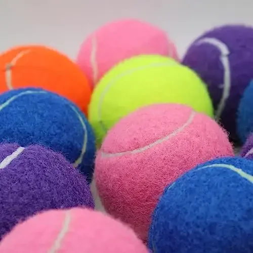 Swingers 20 Pack Tennis Balls,Training Exercise Balls for Pet Dog, High Elasticity Practice Tennis Balls for Beginner, with Mesh Carry Bag Easy to Transport - 3