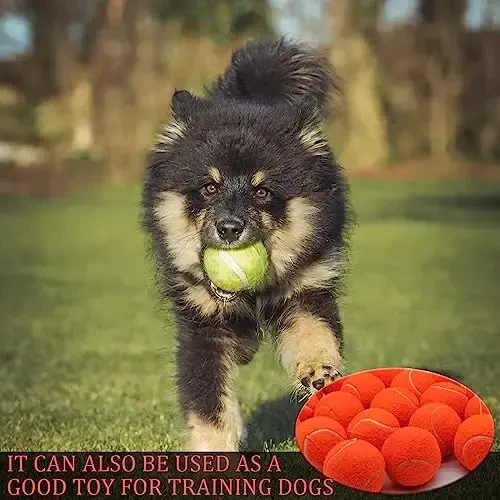 Swingers 20 Pack Tennis Balls,Training Exercise Balls for Pet Dog, High Elasticity Practice Tennis Balls for Beginner, with Mesh Carry Bag Easy to Transport - 6