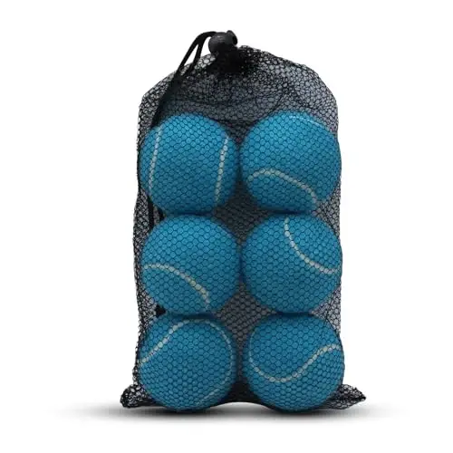 Swingers 20 Pack Tennis Balls,Training Exercise Balls for Pet Dog, High Elasticity Practice Tennis Balls for Beginner, with Mesh Carry Bag Easy to Transport 