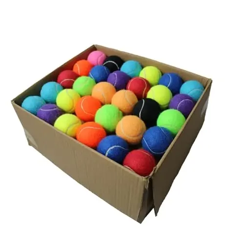 Swingers 20 Pack Tennis Balls,Training Exercise Balls for Pet Dog, High Elasticity Practice Tennis Balls for Beginner, with Mesh Carry Bag Easy to Transport 