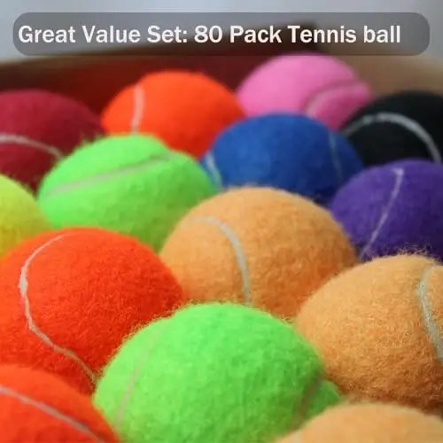 Swingers 20 Pack Tennis Balls,Training Exercise Balls for Pet Dog, High Elasticity Practice Tennis Balls for Beginner, with Mesh Carry Bag Easy to Transport - 4