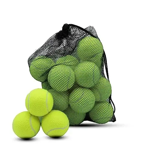 Swingers 20 Pack Tennis Balls,Training Exercise Balls for Pet Dog, High Elasticity Practice Tennis Balls for Beginner, with Mesh Carry Bag Easy to Transport - 1
