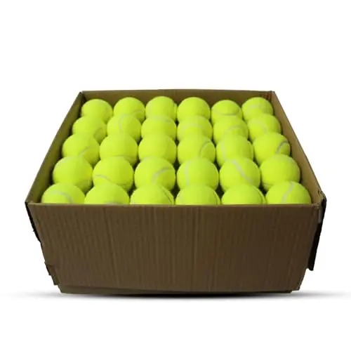 Swingers 20 Pack Tennis Balls,Training Exercise Balls for Pet Dog, High Elasticity Practice Tennis Balls for Beginner, with Mesh Carry Bag Easy to Transport 