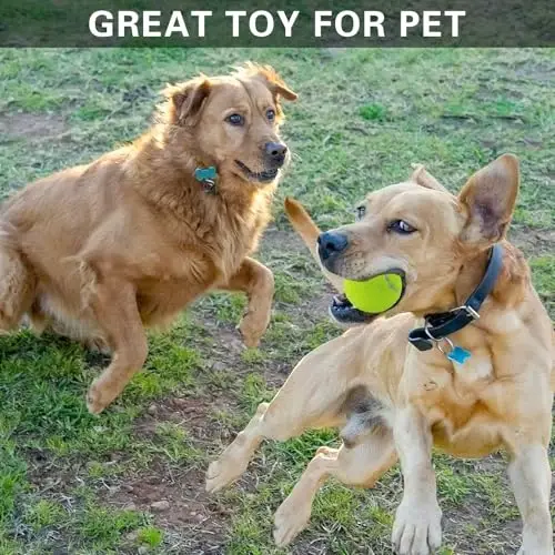 Swingers 20 Pack Tennis Balls,Training Exercise Balls for Pet Dog, High Elasticity Practice Tennis Balls for Beginner, with Mesh Carry Bag Easy to Transport - 5