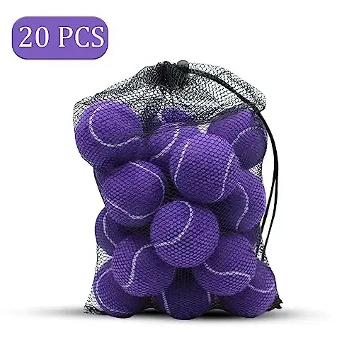 Swingers 20 Pack Tennis Balls,Training Exercise Balls for Pet Dog, High Elasticity Practice Tennis Balls for Beginner, with Mesh Carry Bag Easy to Transport - SWINGERS (1)