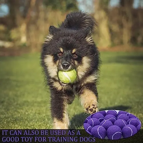 Swingers 20 Pack Tennis Balls,Training Exercise Balls for Pet Dog, High Elasticity Practice Tennis Balls for Beginner, with Mesh Carry Bag Easy to Transport - 6