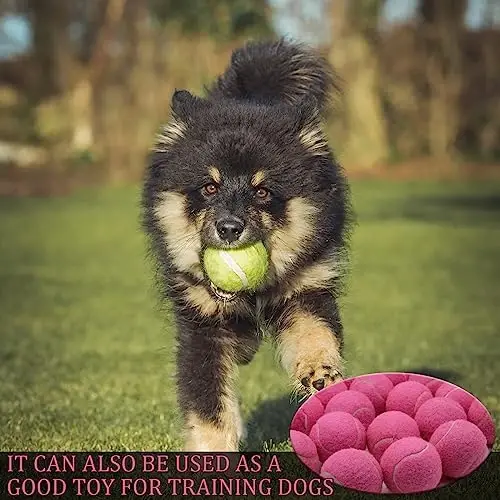 Swingers 20 Pack Tennis Balls,Training Exercise Balls for Pet Dog, High Elasticity Practice Tennis Balls for Beginner, with Mesh Carry Bag Easy to Transport - 6