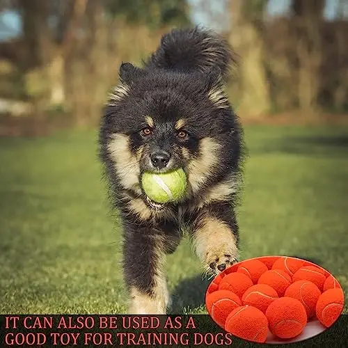 Swingers 20'li Paket Tenis Topları, Evcil Köpekler İçin Eğitim Egzersiz Topları, Yeni Başlayanlar İçin Yüksek Esneklikli Pratik Tenis Topları, Taşımayı Kolaylaştıran File Taşıma Çantası ile 