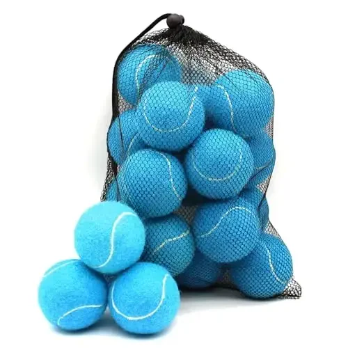 Swingers 20 Pack Tennis Balls,Training Exercise Balls for Pet Dog, High Elasticity Practice Tennis Balls for Beginner, with Mesh Carry Bag Easy to Transport - 1