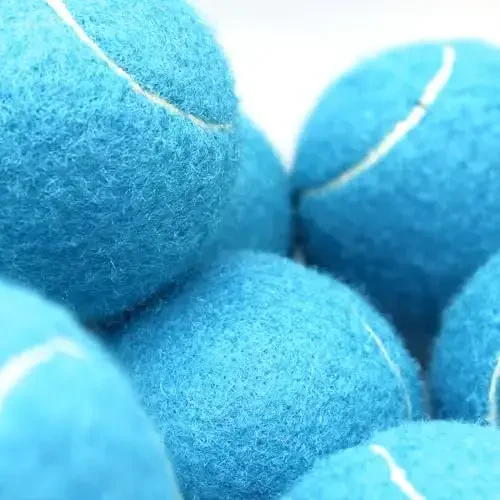 Swingers 20 Pack Tennis Balls,Training Exercise Balls for Pet Dog, High Elasticity Practice Tennis Balls for Beginner, with Mesh Carry Bag Easy to Transport - 3