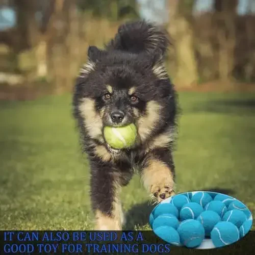 Swingers 20 Pack Tennis Balls,Training Exercise Balls for Pet Dog, High Elasticity Practice Tennis Balls for Beginner, with Mesh Carry Bag Easy to Transport - 6