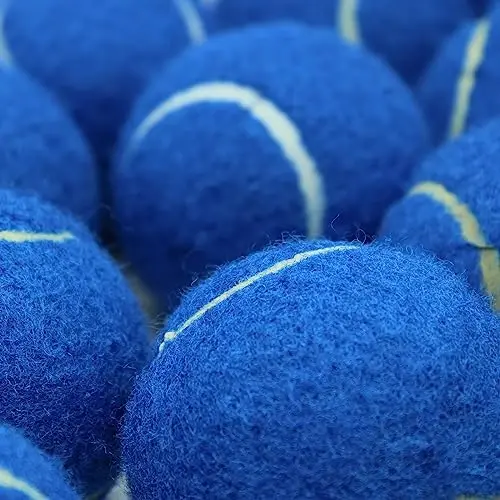 Swingers 20 Pack Tennis Balls,Training Exercise Balls for Pet Dog, High Elasticity Practice Tennis Balls for Beginner, with Mesh Carry Bag Easy to Transport - 3