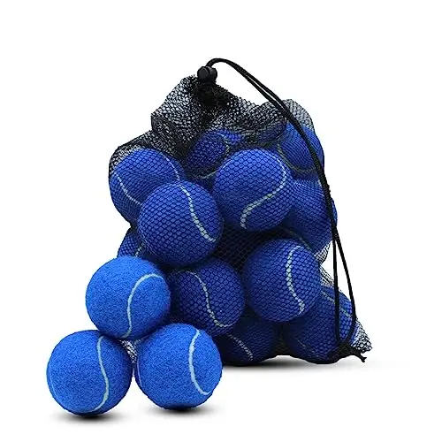 Swingers 20 Pack Tennis Balls,Training Exercise Balls for Pet Dog, High Elasticity Practice Tennis Balls for Beginner, with Mesh Carry Bag Easy to Transport - SWINGERS