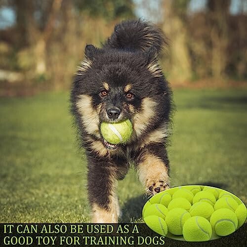 Swingers 20 Pack Training Tennis Balls, High Elasticity Practice Balls for Beginner, with Mesh Carry Bag - 6