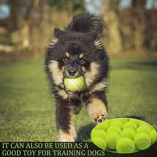 Swingers Tenis Topları, 20'li Paket Antrenman Tenis Topları, Evcil Köpek İçin Egzersiz Topları, Yüksek Esneklikli Başlangıç ​​Seviyesi Pratik Tenis Topları, Taşıma Kolaylığı Sağlayan Ağ Torbasıyla - 1