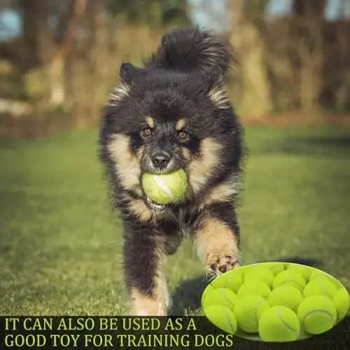 Swingers Tennis Balls,Training Exercise Balls for Pet Dog, High Elasticity Practice Tennis Balls for Beginner, with Mesh Carry Bag Easy to Transport - 5