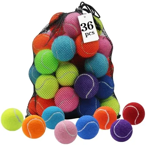 Swingers Tennis Balls,Training Exercise Balls for Pet Dog, High Elasticity Practice Tennis Balls for Beginner, with Mesh Carry Bag Easy to Transport 