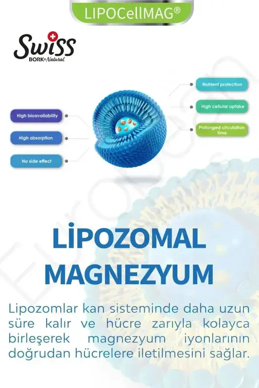 Swiss Bork Mag-5x Liposomal Magnesium 30 Capsules - 2