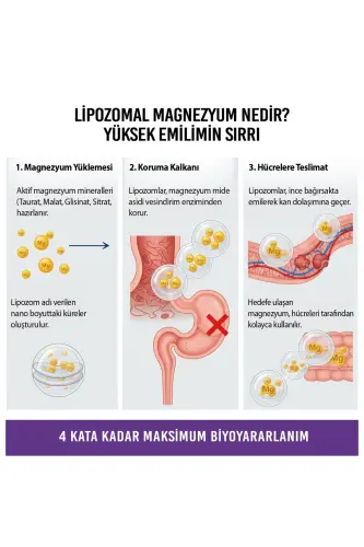 Swiss Bork Mag-5x Liposomal Magnesium 30 Capsules - 4