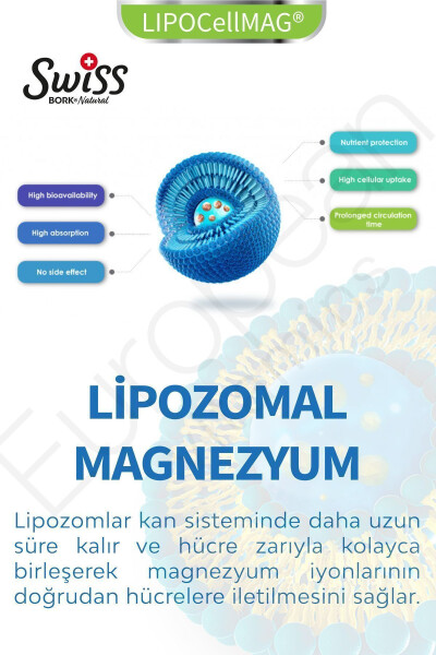 SWISS Magnezyum Vitamini Mag 5x Liposomal Magnezyum 30 Vegan Kapsül - 2