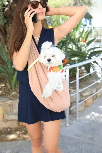 Taba It Tashish Sumkasi (PET SLING) Ona Bag'ri-Bej - 15