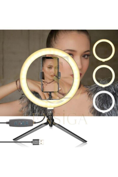 Table Stand 10 Inch Led Ring Light Influencer Youtuber Tiktok Phone Holder Makeup Light - 4