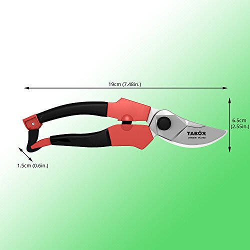 TABOR TOOLS S821A Bypass Kesuvchi Qaychi, Toza Kesishni Ta'minlaydi, O'rta va Kichik O'lchamli Qo'llar Uchun Ajoyib. Professional O'tkir Sekatorlar, Qo'l Kesuvchi, Bog' Qaychi, Bog' Uchun Qaychi. - 5