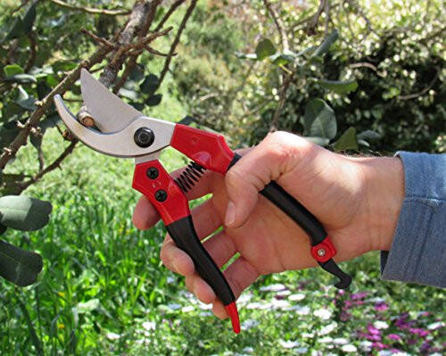 TABOR TOOLS S821A Bypass Pruning Shears, Makes Clean Cuts, Great for S-M Size Hands. Professional Sharp Secateurs, Hand Pruner, Garden Shears, Clippers for The Garden. - 3